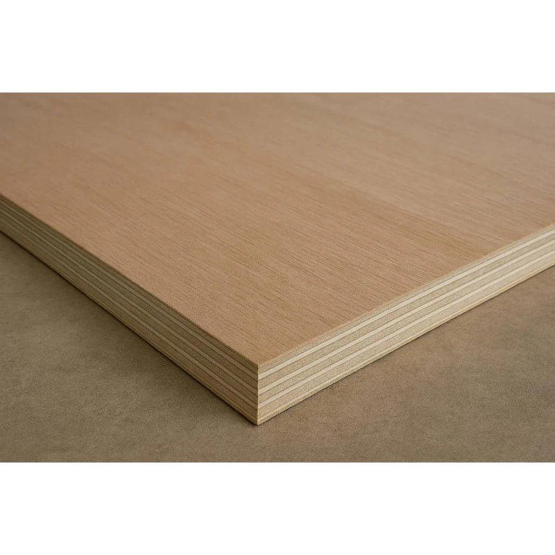 product-800-800 product-800-800